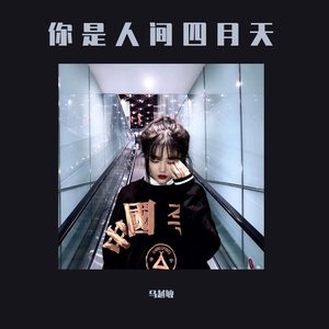 动漫 得到 钻 漫画 动画
